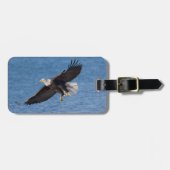 Bald eagle in flight gepäckanhänger (Vorderseite horizontal)