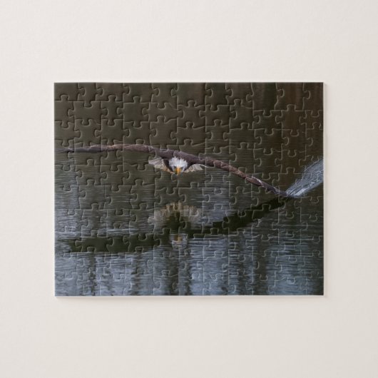 Bald Eagle in Flight Jigsaw Puzzle (Horizontal)