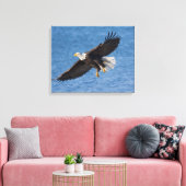 Bald eagle in flight leinwanddruck (Insitu (Wohnzimmer))
