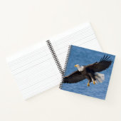 Bald eagle in flight notizblock (Innenseite)
