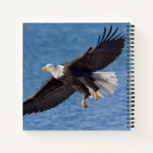 Bald eagle in flight notizblock (Rückseite)