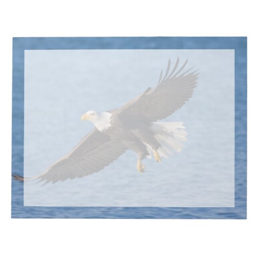 Bald eagle in flight notizblock (Vorderseite)