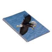 Bald eagle in flight notizblock (Rechte Seite)