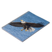 Bald eagle in flight notizblock (Linke Seite)