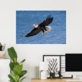 Bald eagle in flight poster (Heimbüro)