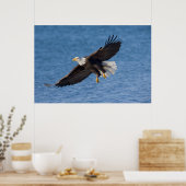 Bald eagle in flight poster (Küche)