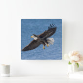 Bald eagle in flight quadratische wanduhr (Zuhause)