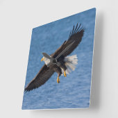 Bald eagle in flight quadratische wanduhr (Winkel)