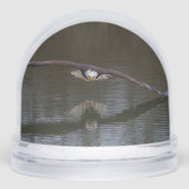 Bald Eagle in Flight Schneekugeln (Vorderseite)