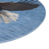 Bald eagle in flight schneidebrett (Ecke)