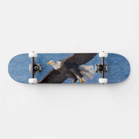 Bald eagle in flight skateboard (Horizontal)