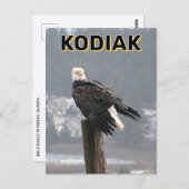 Bald Eagle in Kodiak, Alaska Postkarte (Vorne/Hinten)