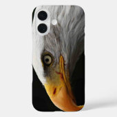 Bald Eagle iphcnm Case-Mate iPhone Hülle (Rückseite)