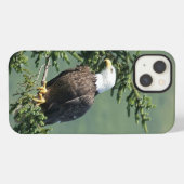 Bald Eagle iPhone Hülle (Rückseite (Horizontal))