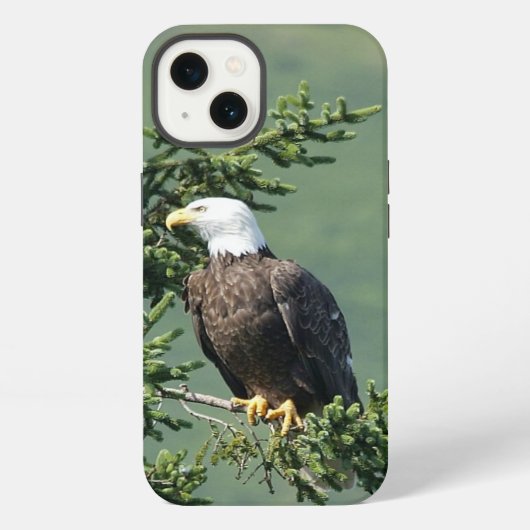 Bald Eagle iPhone Hülle (Rückseite)