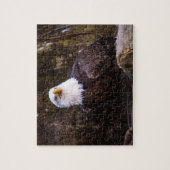 Bald Eagle Jigsaw Puzzle (Vertikal)