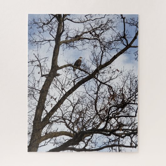 Bald Eagle Jigsaw Puzzle (Vertikal)