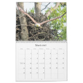 Bald Eagle Kalender (Mär 2027)