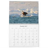 Bald Eagle Kalender (Jan 2027)