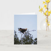 Bald Eagle Karte (Gelbe Blume)