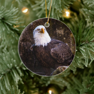 Bald Eagle Keramik Ornament