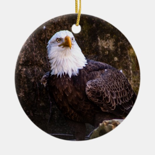 Bald Eagle Keramik Ornament (Vorne)