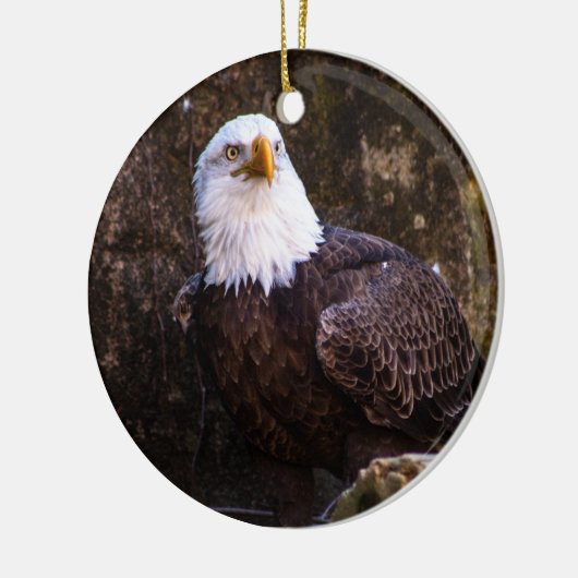 Bald Eagle Keramik Ornament (Links)