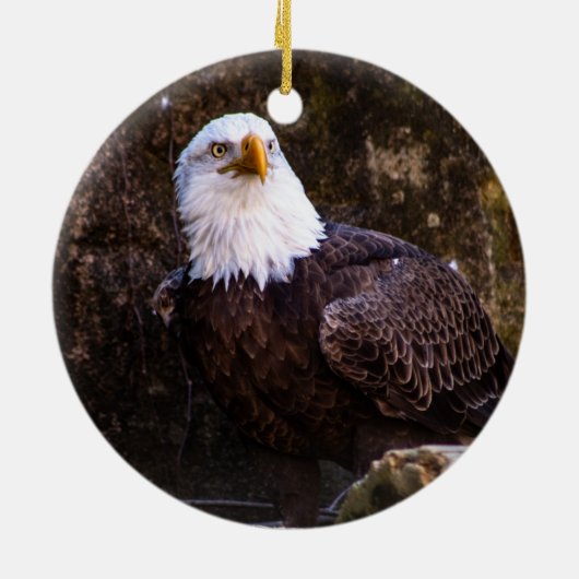 Bald Eagle Keramik Ornament (Hinten)