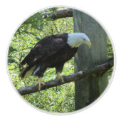 Bald Eagle Keramikknauf (Vorderseite)
