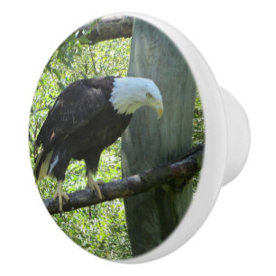 Bald Eagle Keramikknauf