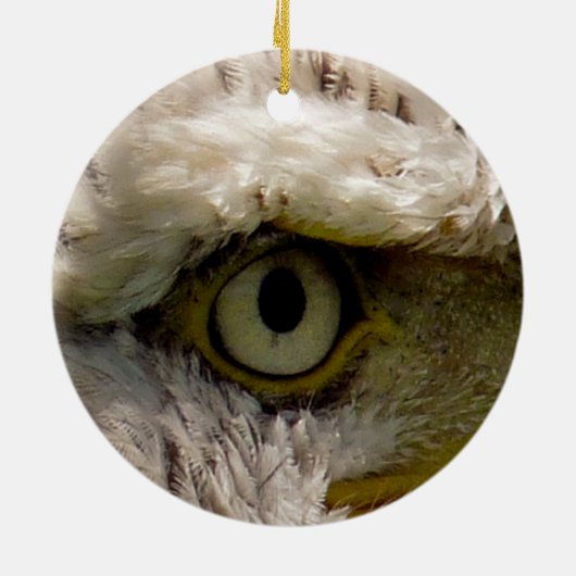 BALD EAGLE KERAMIKORNAMENT (Hinten)