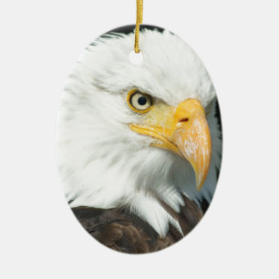 Bald Eagle Keramikornament