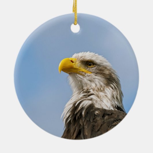 Bald Eagle Keramikornament (Hinten)