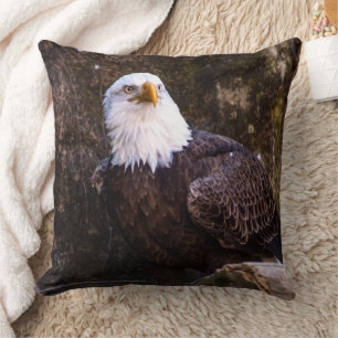 Bald Eagle Kissen