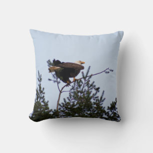 Bald Eagle Kissen