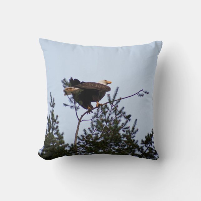 Bald Eagle Kissen (Vorderseite)