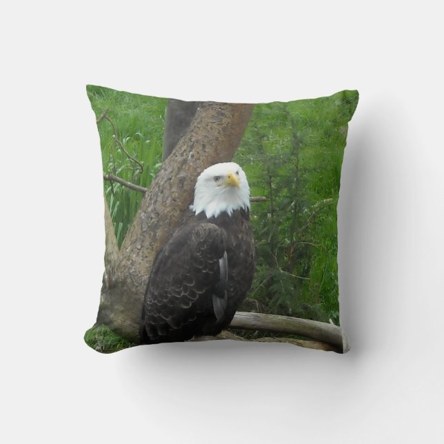 Bald Eagle Kissen (Vorderseite)