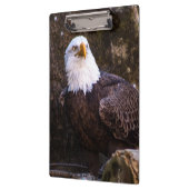 Bald Eagle Klemmbrett (Links)