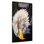 Bald Eagle Klemmbrett (Rechts)