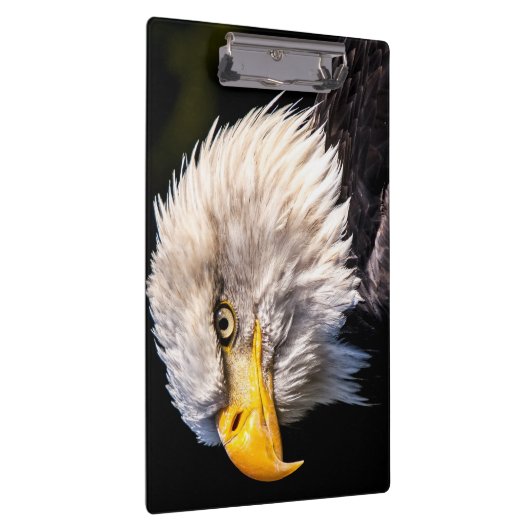 Bald Eagle Klemmbrett (Rechts)