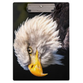 Bald Eagle Klemmbrett (Vorderseite)