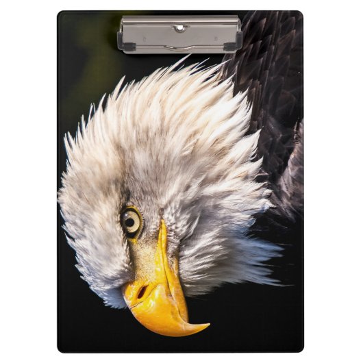 Bald Eagle Klemmbrett (Vorderseite)