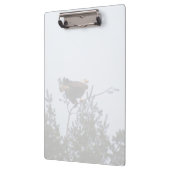 Bald Eagle Klemmbrett (Links)