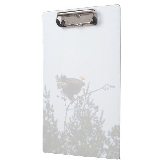 Bald Eagle Klemmbrett (Links)