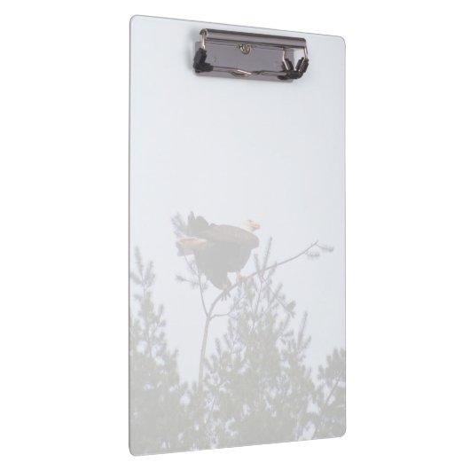 Bald Eagle Klemmbrett (Rechts)