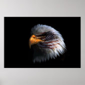 Bald Eagle Kopf mit amerikanischer Flagge auf sein Poster (Vorne)