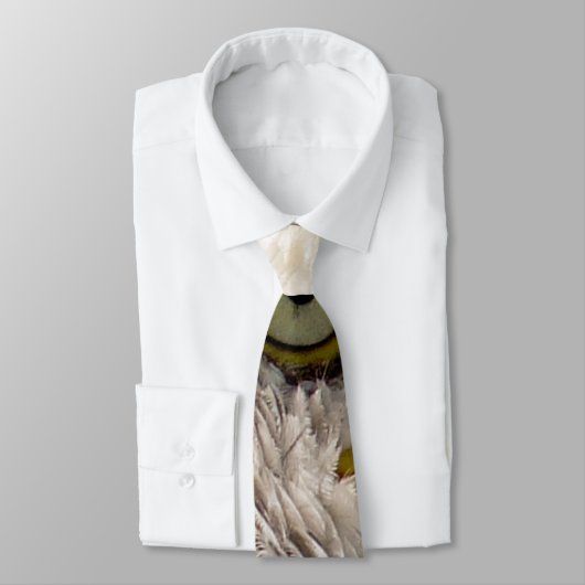 BALD EAGLE KRAWATTE (Gebunden)