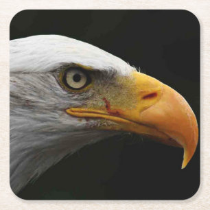 Bald-Eagle-Küste Rechteckiger Pappuntersetzer