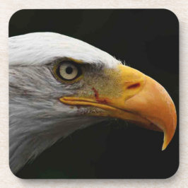 Bald Eagle Küstenercna Getränkeuntersetzer