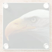 Bald Eagle Küstenercna Glasuntersetzer (Rückseite)
